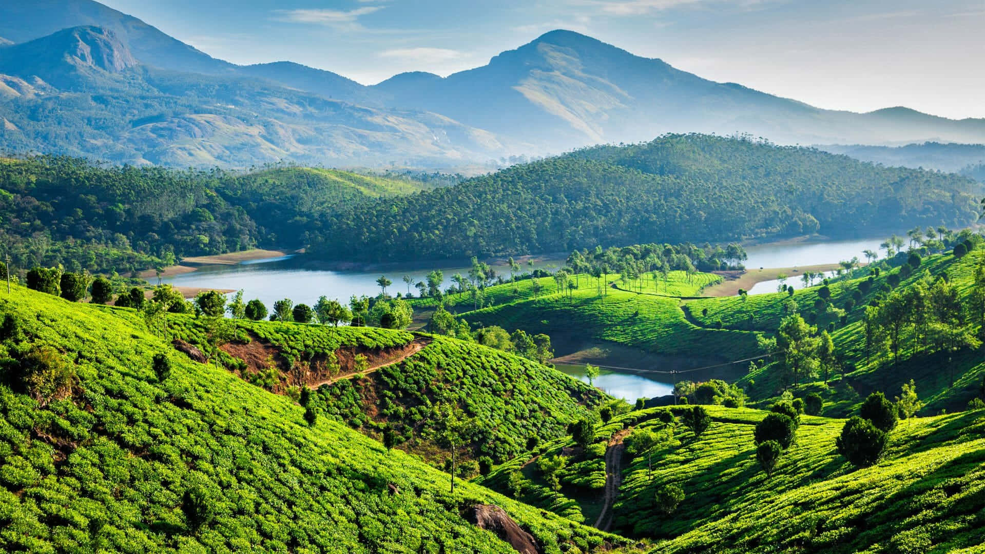 Kerala backwaters and landscape